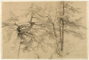 Studie von zwei Bäumen, Bolton, Lake George, New York, 1863